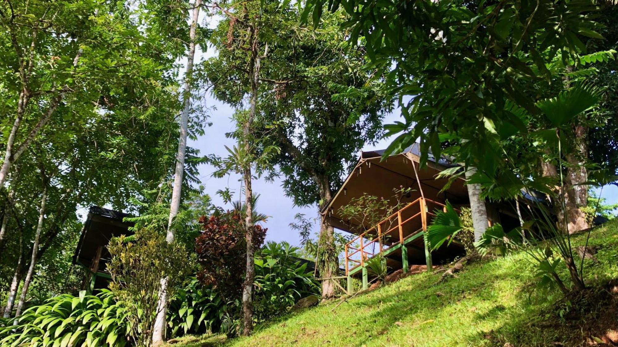 Rio Tico Safari Lodge Punta Mala Exterior foto